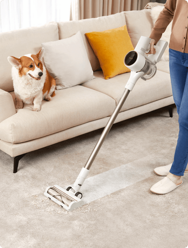 Dreame R10 aspirapolvere senza filo Bianco Senza sacchetto