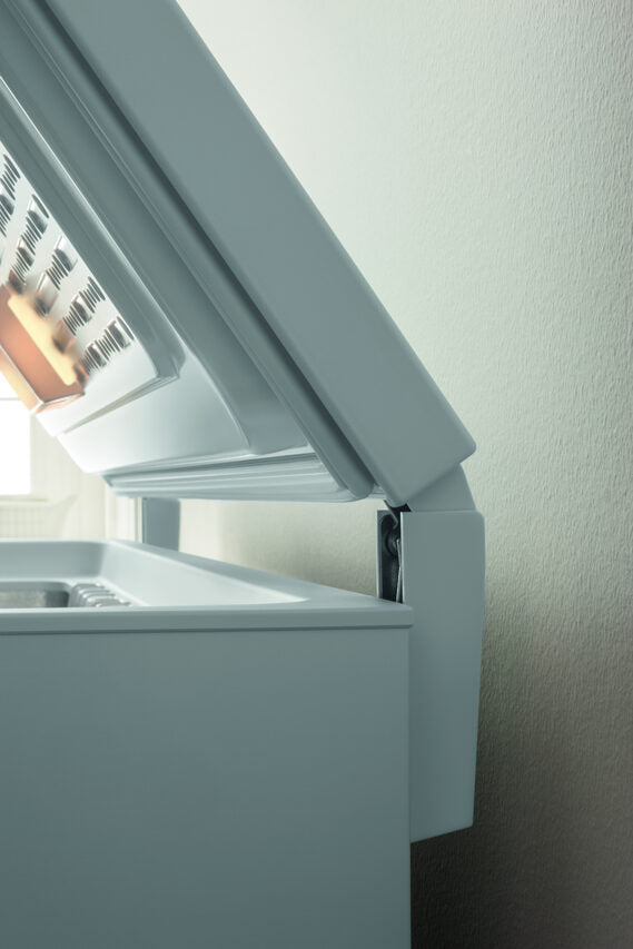 Indesit OS 2A 250 Congelatore a pozzetto Libera installazione 255 L E Bianco