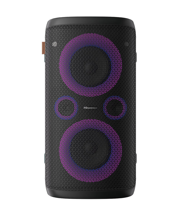 Hisense HP110 altoparlante portatile e per feste Nero 300 W