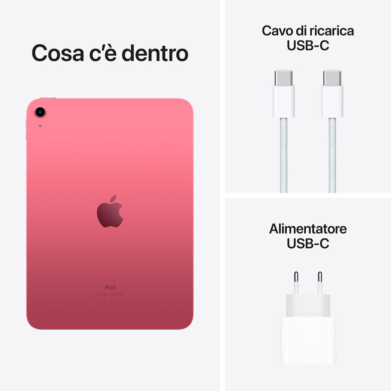 Apple iPad 10.9-pollici Wi-Fi 256GB - Rosa