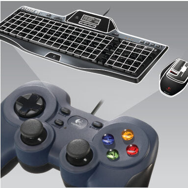 Logitech G Gamepad F310 Nero, Blu, Multicolore USB 1.1 Digitale PC