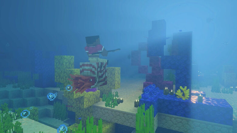 Nintendo MINECRAFT Standard Inglese, Francese, Tedesca, ESP, ITA, Giapponese, Coreano, DUT, Russo, Cinese semplificato, Cinese tradizionale, Portoghese Nintendo Switch 2