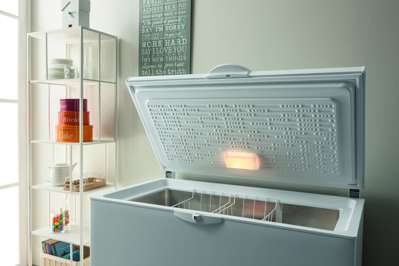 Indesit OS 1A 450 H Congelatore a Pozzetto Libera installazione F