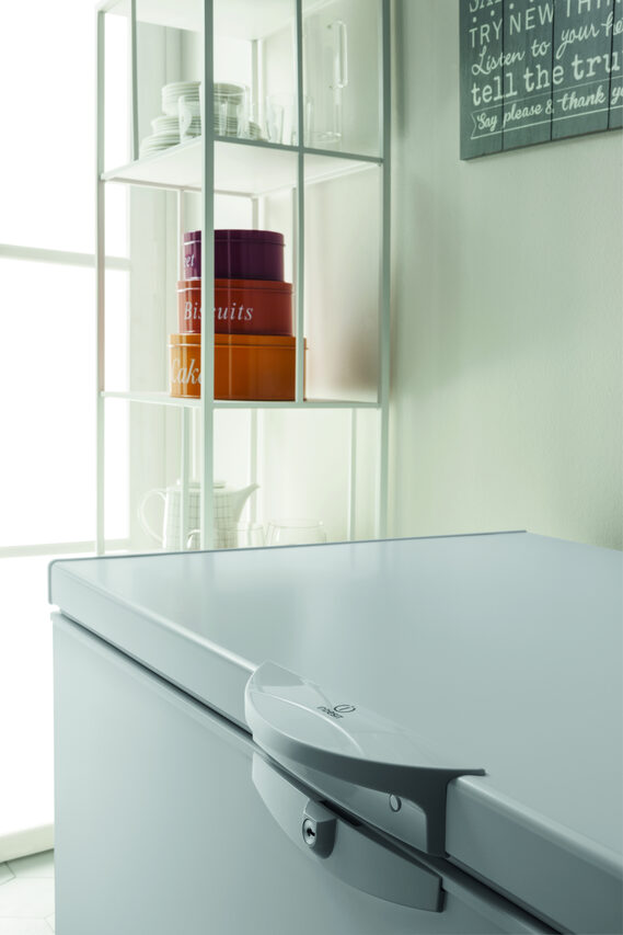 Indesit OS 1A 450 H Congelatore a Pozzetto Libera installazione F