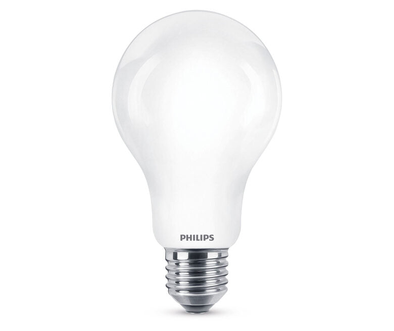 Philips Lampadina 8718696739280