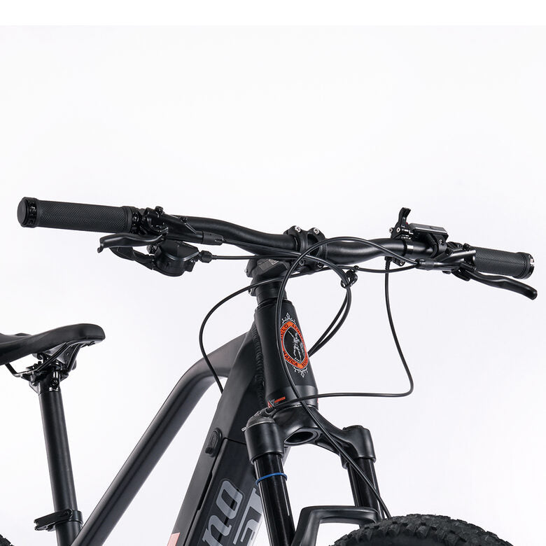 Legnano Fuoco 29 Mamba Mountain E-Bike Alluminio L 73,7 cm (29") 23 kg Litio Nero