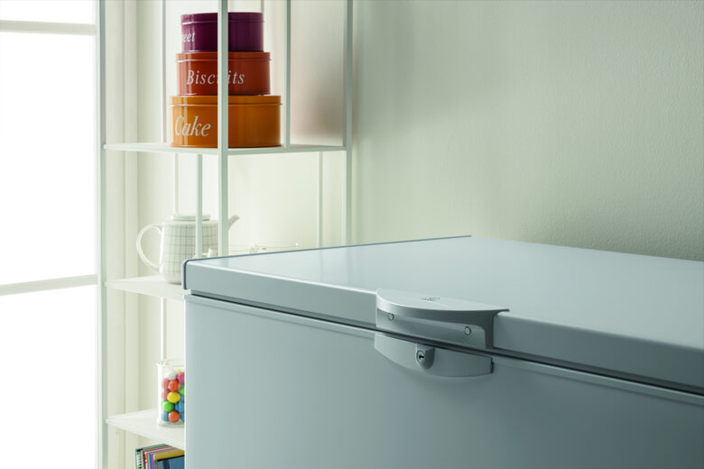 Indesit OS 1A 250 2 Congelatore a Pozzetto Libera installazione F