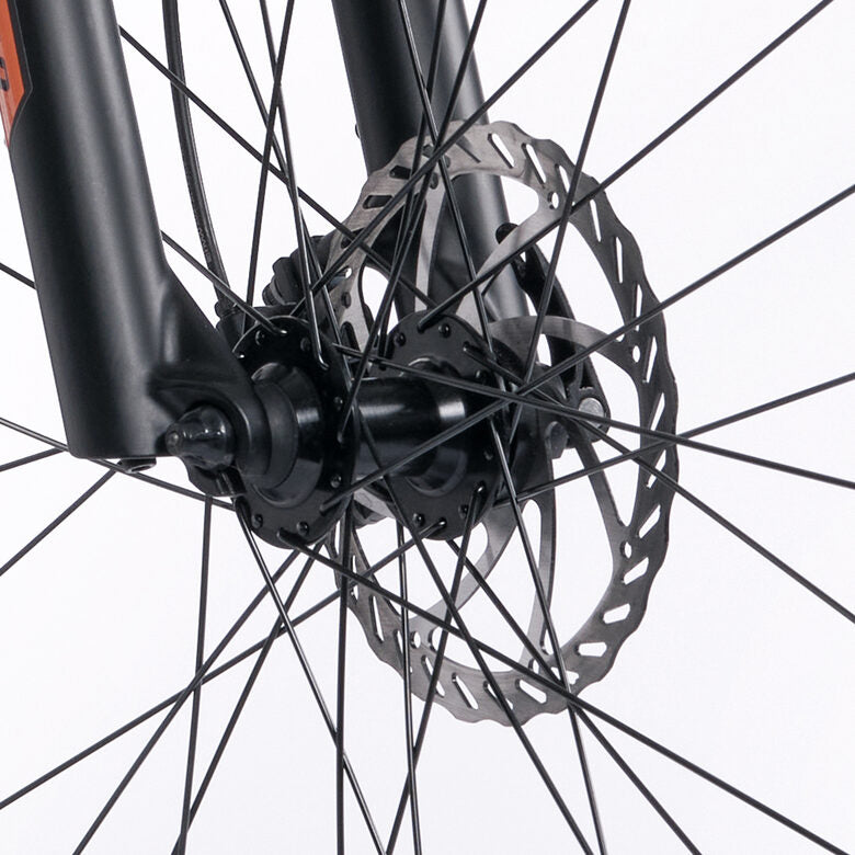 Legnano Fuoco 29 Mamba Mountain E-Bike Alluminio L 73,7 cm (29") 23 kg Litio Nero