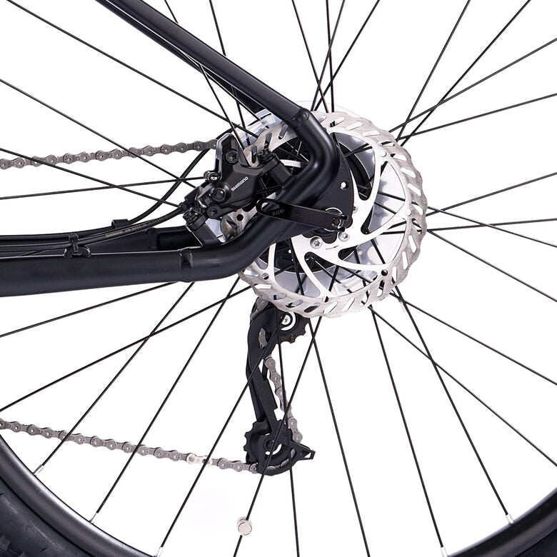 Legnano Fuoco 29 Mamba Mountain E-Bike Alluminio L 73,7 cm (29") 23 kg Litio Nero