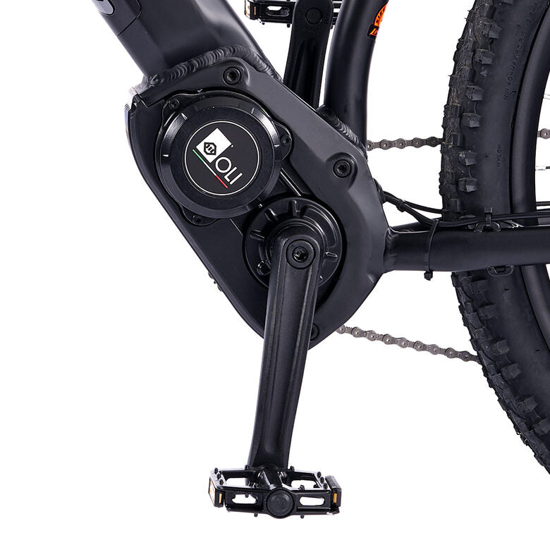 Legnano Fuoco 29 Mamba Mountain E-Bike Alluminio L 73,7 cm (29") 23 kg Litio Nero