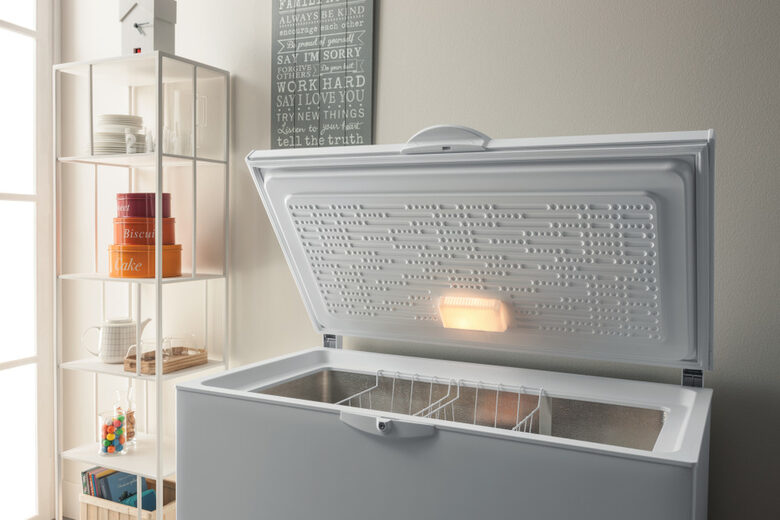 Indesit OS 1A 300 H 2 Congelatore a Pozzetto Libera installazione F