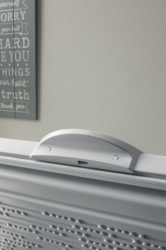 Indesit OS 1A 300 H 2 Congelatore a Pozzetto Libera installazione F