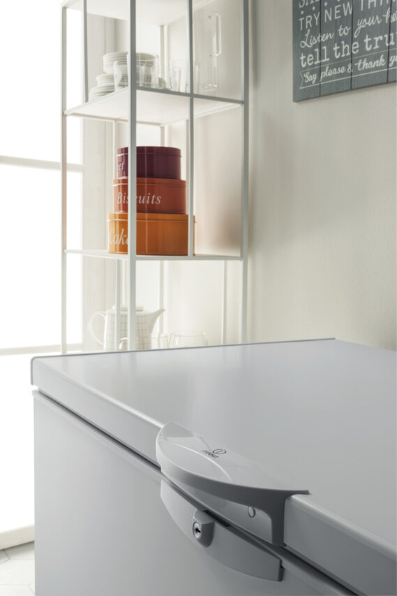 Indesit OS 1A 300 H 2 Congelatore a Pozzetto Libera installazione F