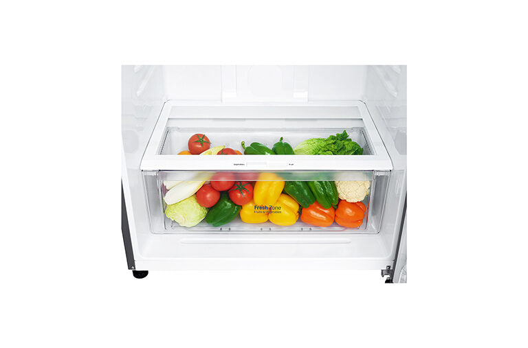 LG GTF744PZPED Frigorifero Combinato A Libera Installazione, Wi-Fi, Dispenser Acqua, Classe E, Inox