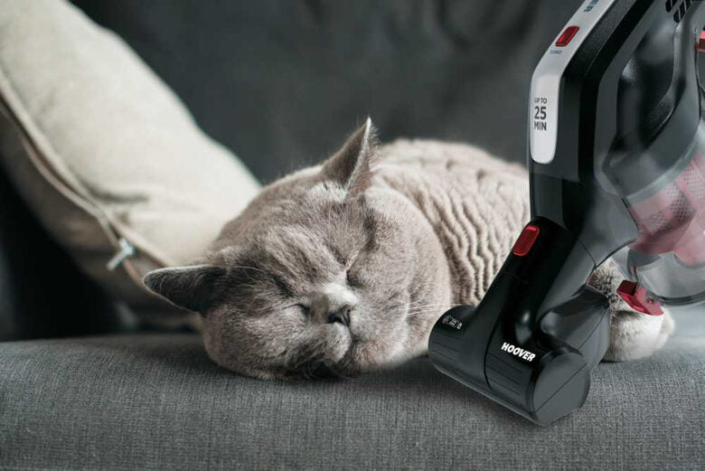 Hoover H-FREE HF18RXL 011 Nero Senza sacchetto