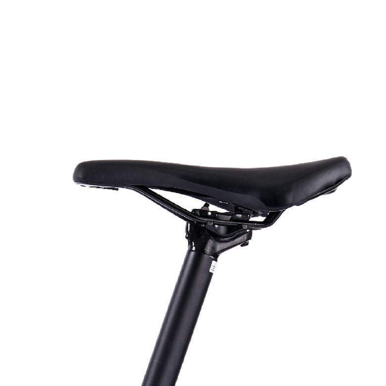 Legnano Fuoco 29 Mamba Mountain E-Bike Alluminio L 73,7 cm (29") 23 kg Litio Nero