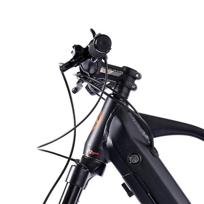 Legnano Fuoco 29 Mamba Mountain E-Bike Alluminio L 73,7 cm (29") 23 kg Litio Nero