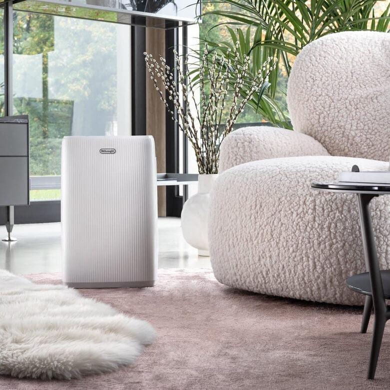 De’Longhi Tasciugo DEP210 Deumidificatore 10 L/24 h con Tanica da 4 L, Filtro Antipolvere e Carboni Attivi