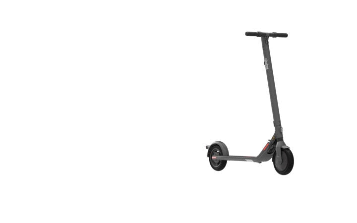Ninebot by Segway KickScooter E25E