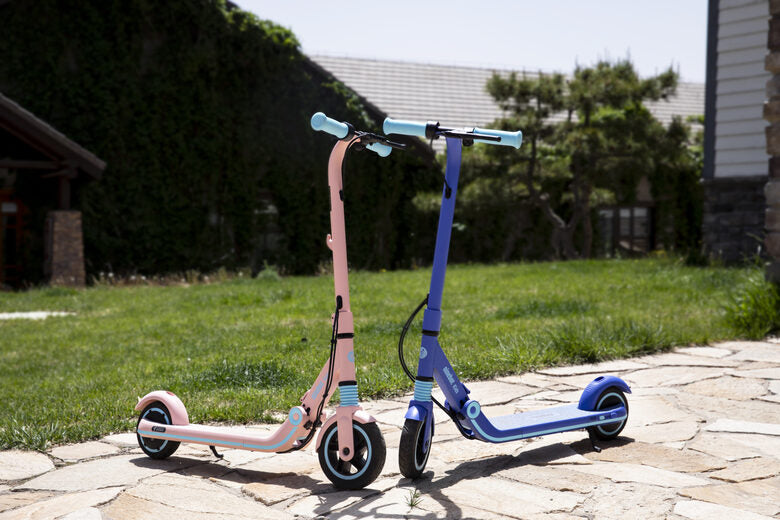Ninebot by Segway Ninebot eKickScooter ZING E8