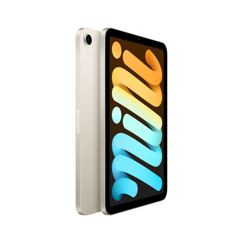 Apple iPad mini Wi-Fi 256GB - Galassia