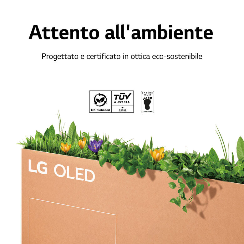LG OLED evo Gallery Edition 4K 77'' Serie G2 OLED77G26LA Smart TV