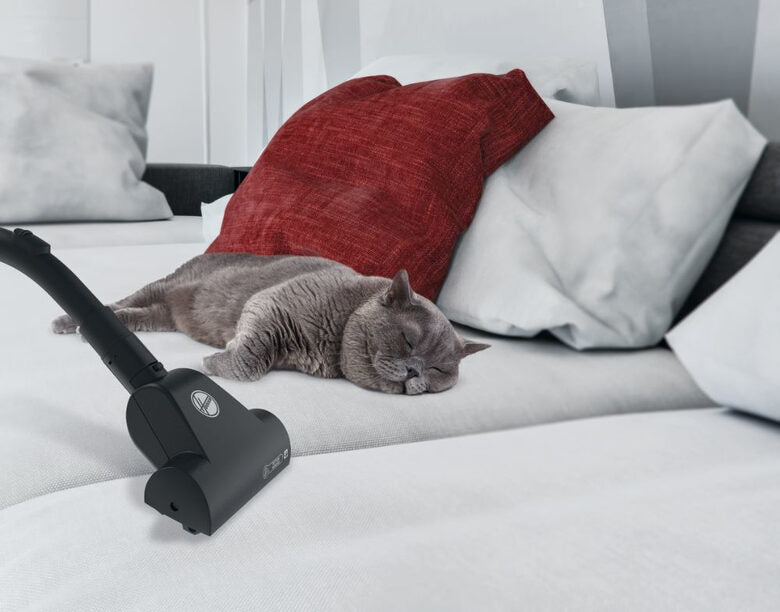 Hoover Brave BV60PET 011 2,3 L A cilindro Secco 700 W Sacchetto per la polvere