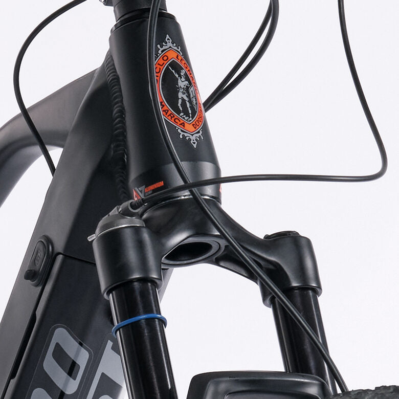Legnano Fuoco 29 Mamba Mountain E-Bike Alluminio L 73,7 cm (29") 23 kg Litio Nero