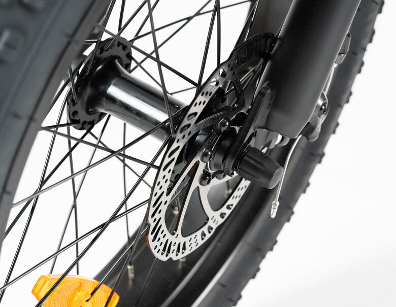 Nilox E-Bike X8 SE Bici Elettrica Pedalata Assistita Pieghevole Gomme 20" Fat, Doppio Freno a Disco