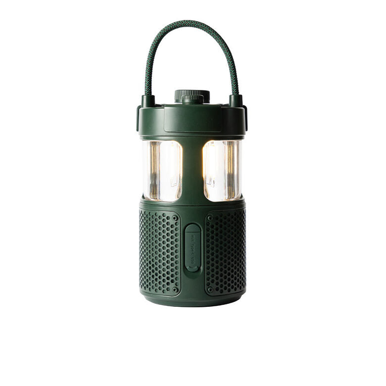 Pure 252584 altoparlante portatile e per feste Verde 20 W