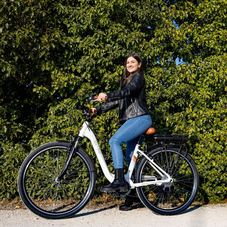 EMG E-bike Vintage con telaio in alluminio 19", ruote 28", motore centrale 250W Ananda, batteria 13AH e cambio Shimano