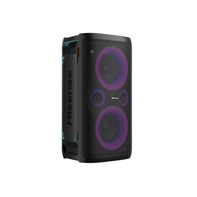 Hisense HP110 altoparlante portatile e per feste Nero 300 W