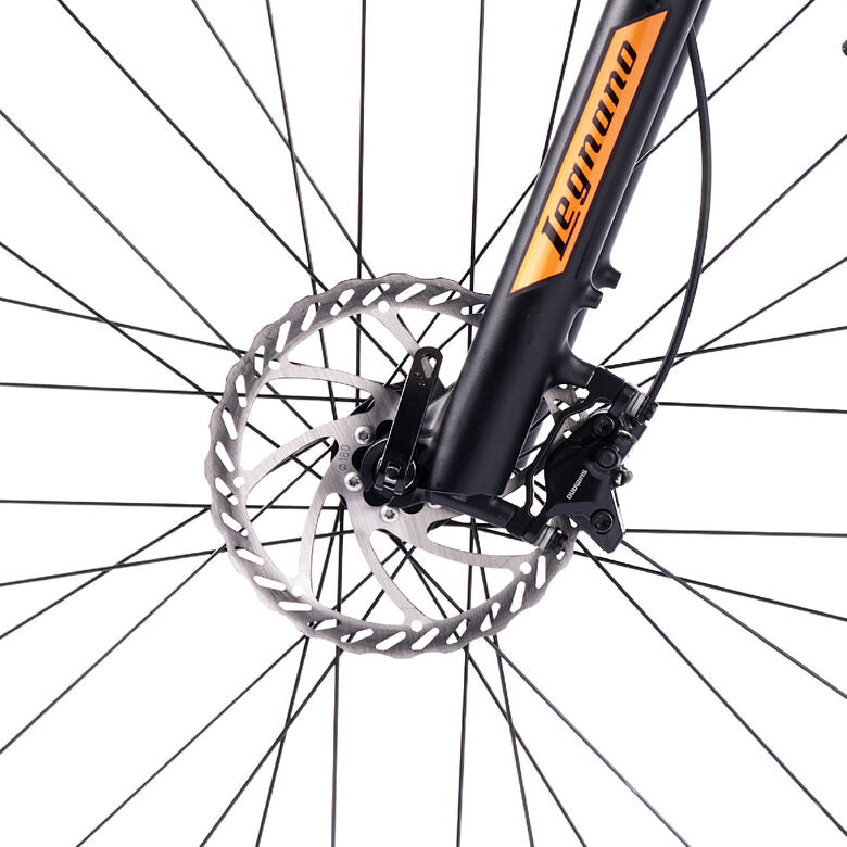 Legnano Fuoco 29 Mamba Mountain E-Bike Alluminio L 73,7 cm (29") 23 kg Litio Nero