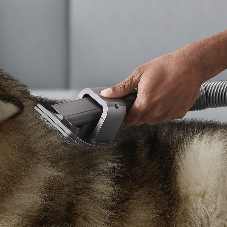 Dyson 972205-01 accessorio e ricambio per aspirapolvere Kit di accessori Aspirapolvere portatile
